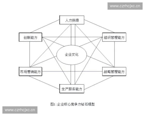 体育品牌管理驱动下的价值塑造与市场竞争力提升研究战略路径与实践创新